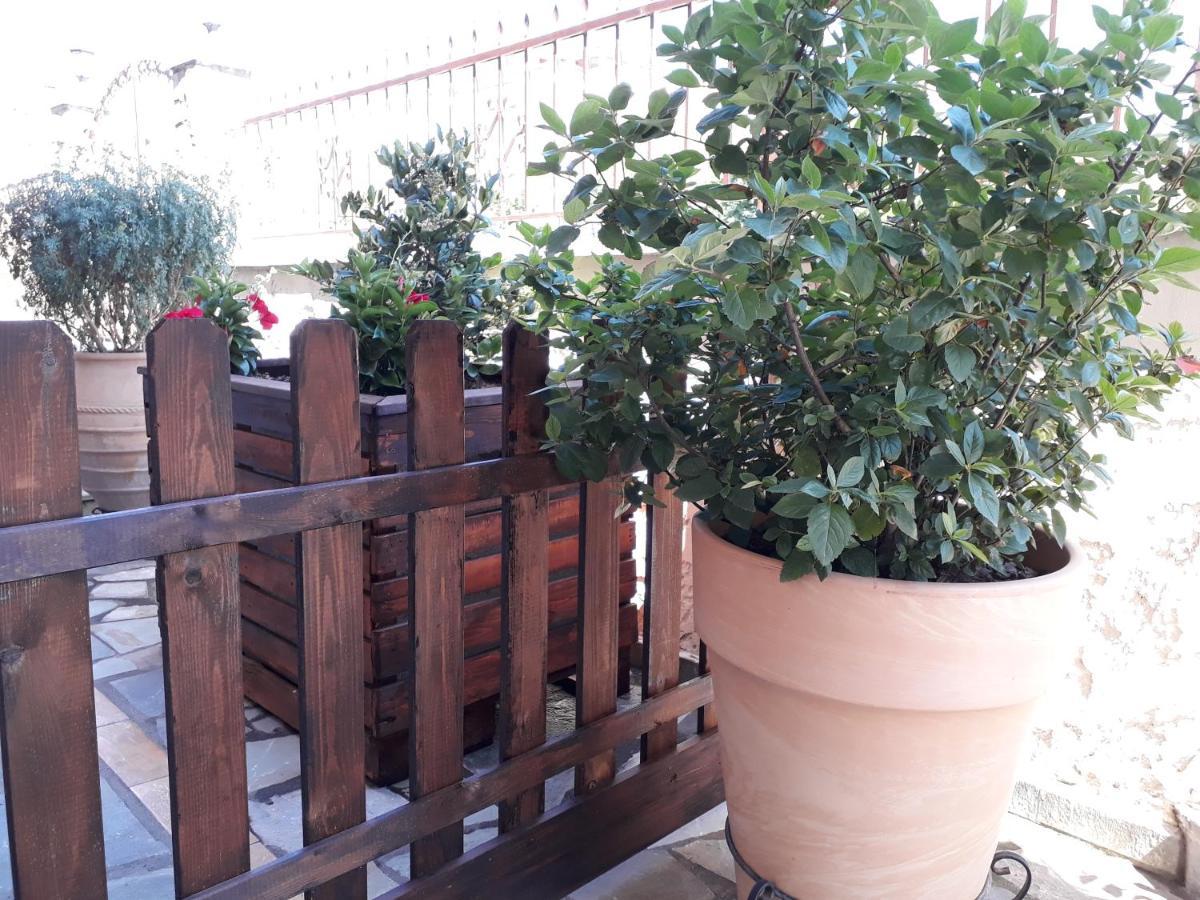 Olympus Vacation Paradise Apartment Litochoron Bagian luar foto